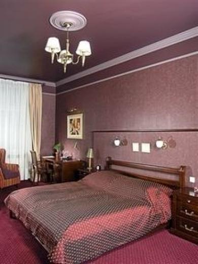 Hotel Royal 포즈난 객실 사진